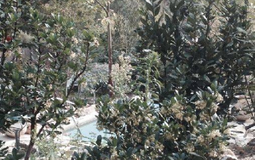 Location de vacances - Villa à Ucciani