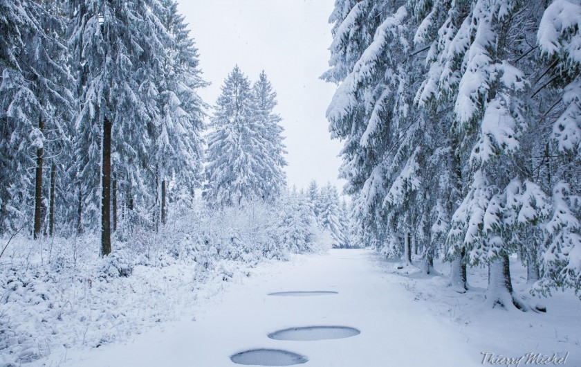 Location de vacances - Appartement à Haybes