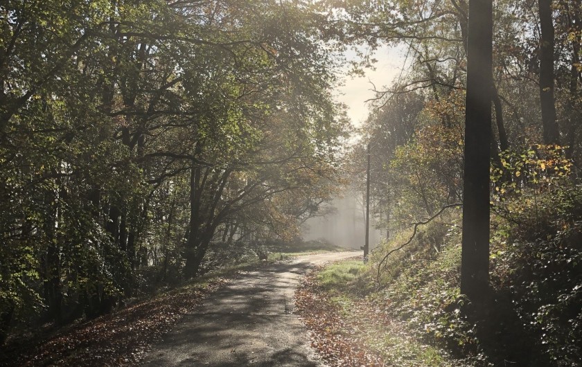 Location de vacances - Appartement à Haybes