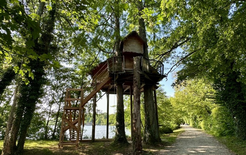 Location de vacances - Cabane dans les arbres à Saint-Paul-de-Varax - Cabane perchée Ecureuil