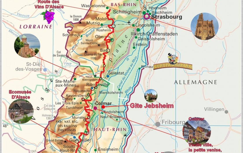 Location de vacances - Villa à Jebsheim