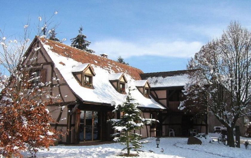 Location de vacances - Villa à Jebsheim - La magie de Noël en Alsace