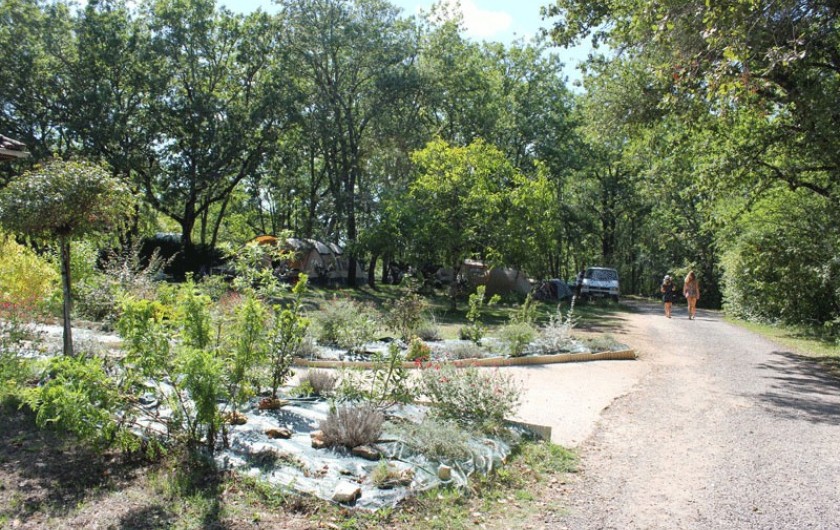 Location de vacances - Camping à Veyrines-de-Domme
