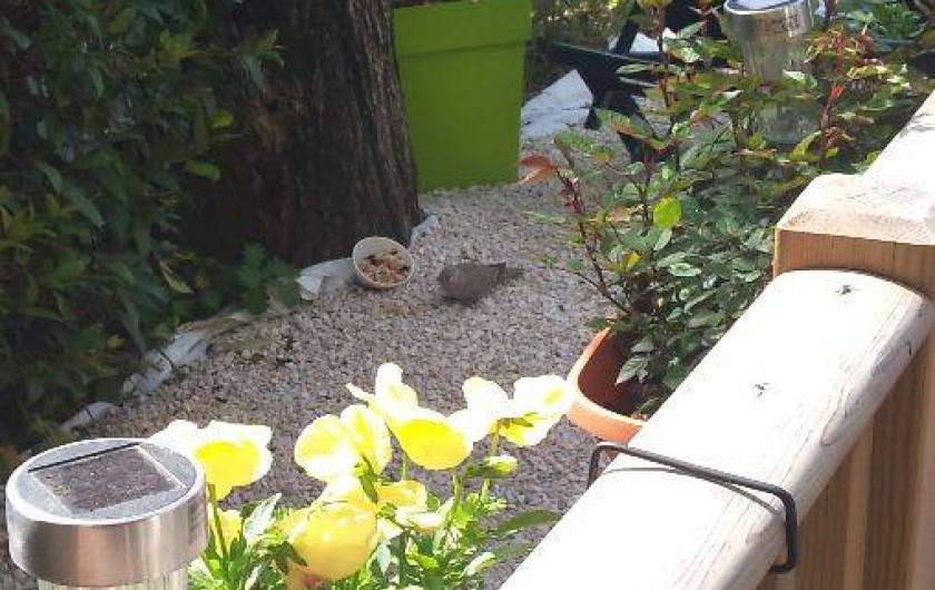 Location de vacances - Camping à Fréjus