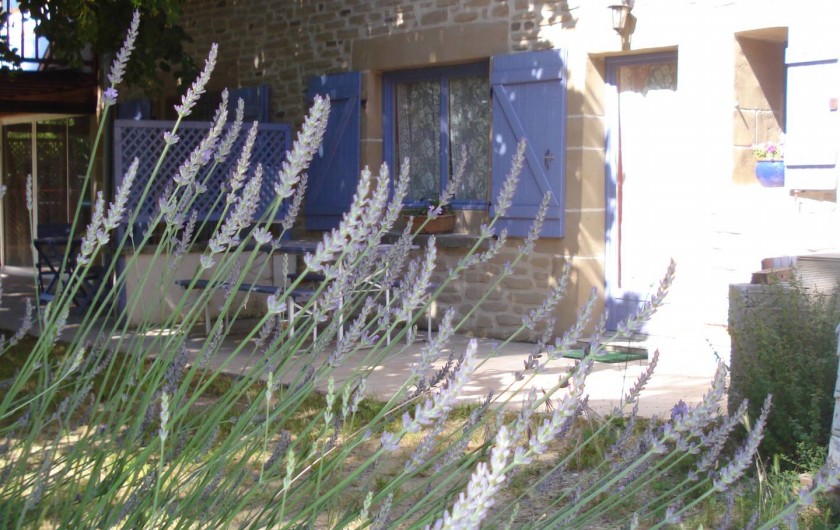 Location de vacances - Gîte à Saint-Martin-d'Août