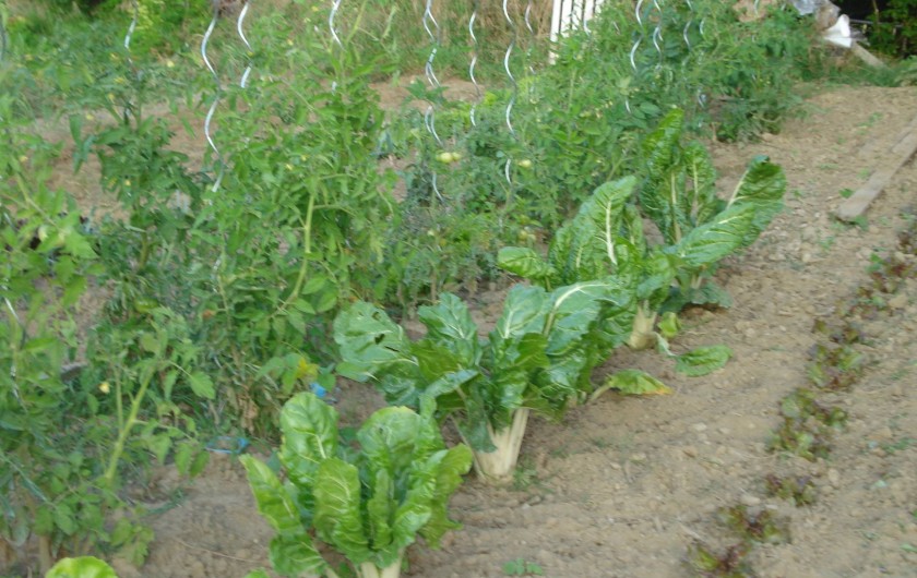 Location de vacances - Gîte à Saint-Martin-d'Août