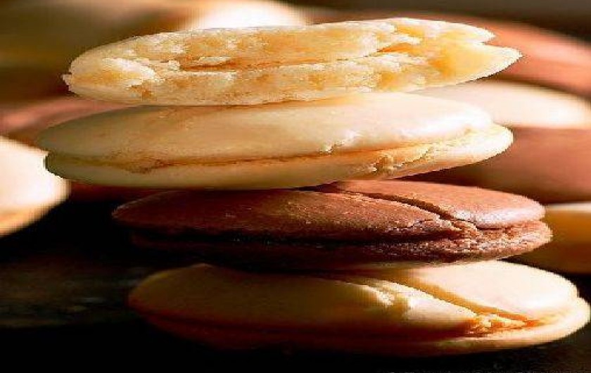 Location de vacances - Villa à Urrugne