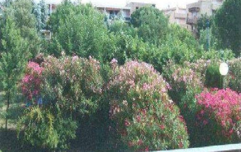 Location de vacances - Appartement à Bormes-les-Mimosas