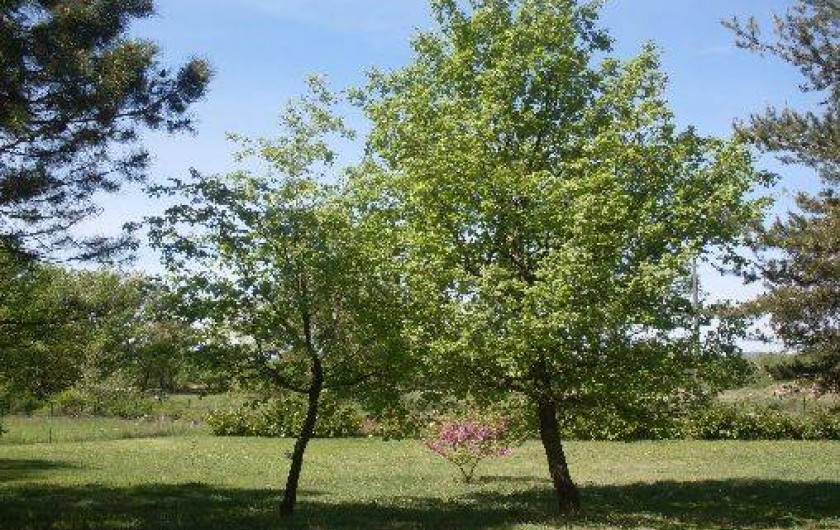 Location de vacances - Villa à Tourrettes