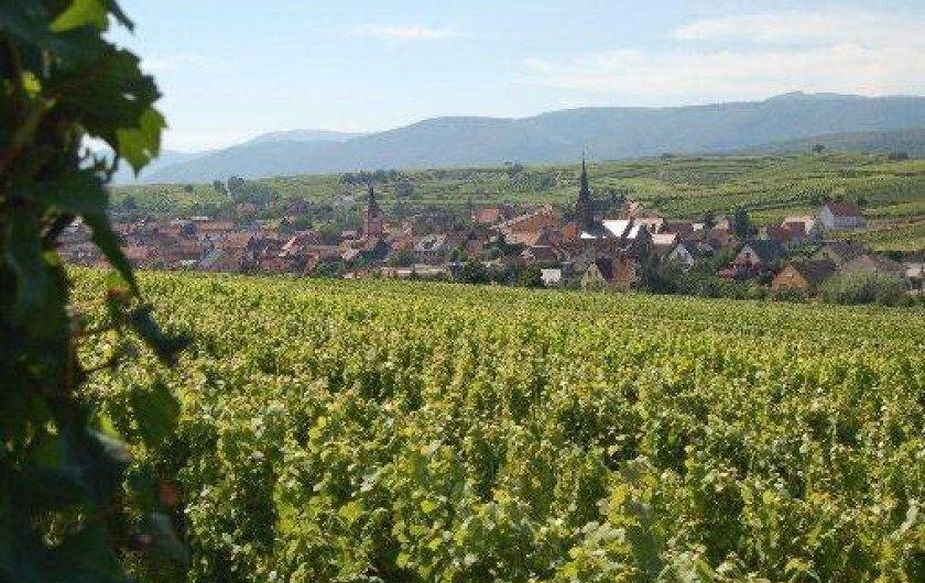 Location de vacances - Gîte à Balbronn