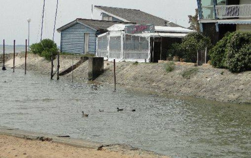 Location de vacances - Villa à Lanton