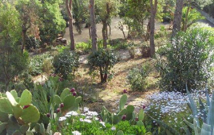 Location de vacances - Villa à Ramatuelle