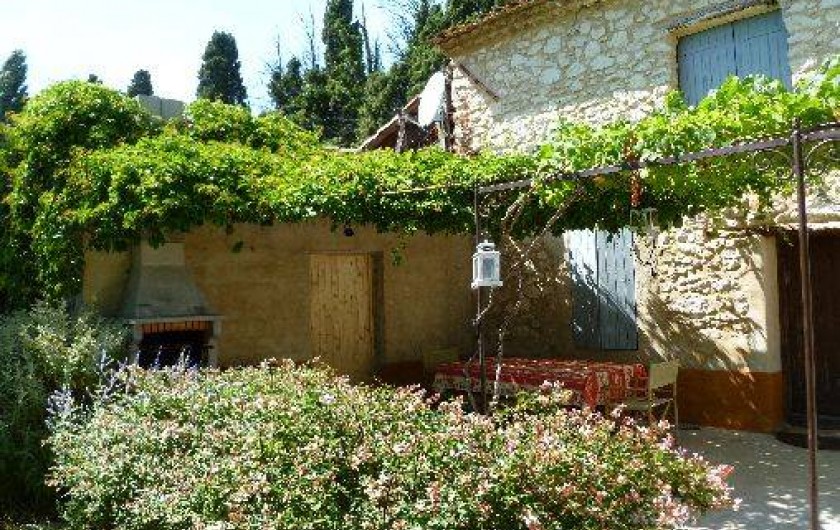 Location de vacances - Mas à Mollégès - Terrasse ombragée, sous la vigne vierge.