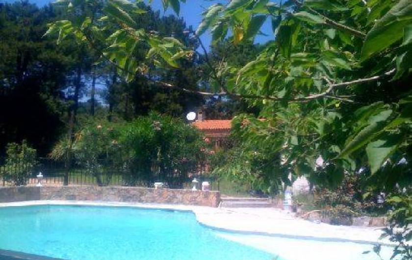 Location de vacances - Villa à Lecci