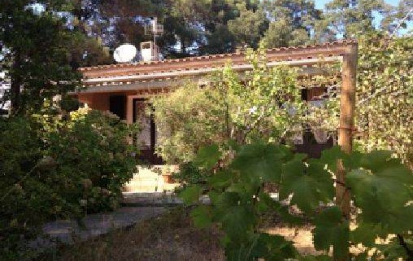 Location de vacances - Villa à Lecci