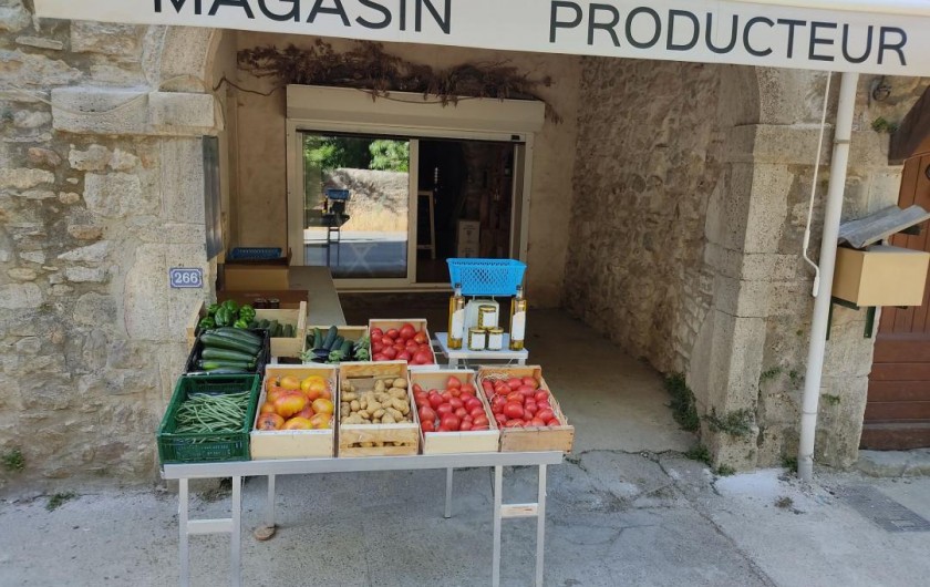 Location de vacances - Gîte à Vézénobres - LEGUMES DE LA FERME