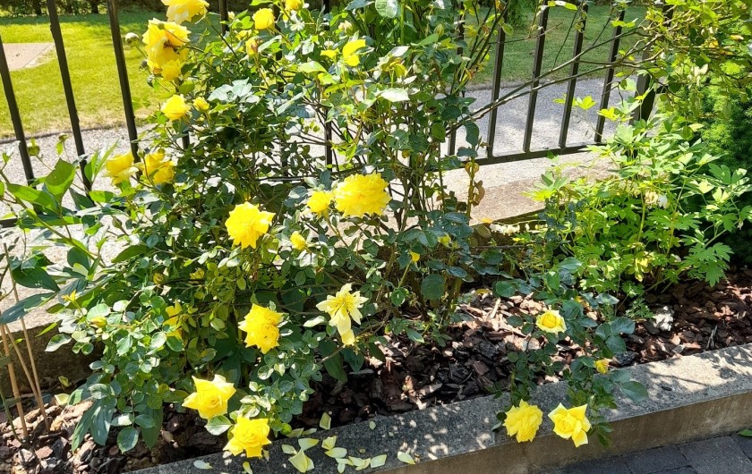 Location de vacances - Gîte à Beussent - MASSIF