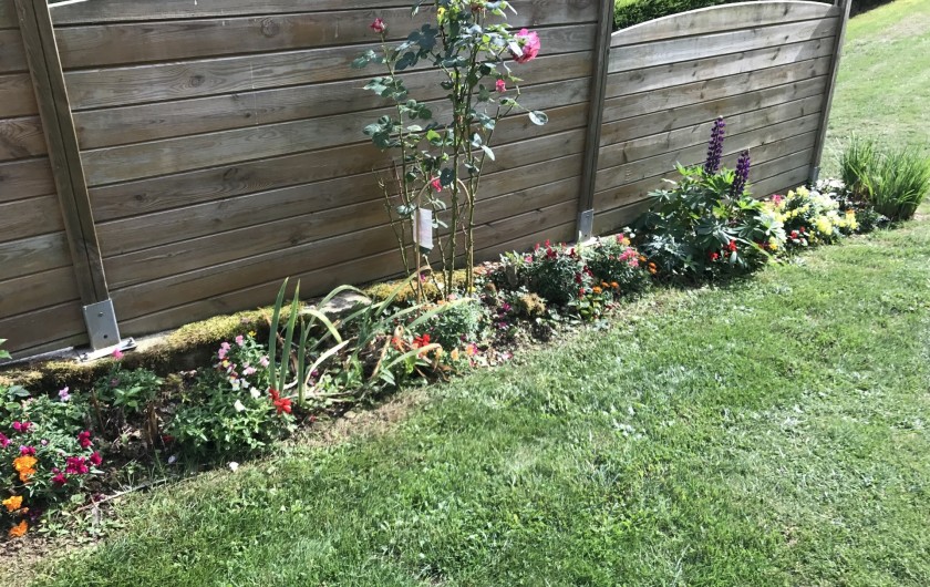 Location de vacances - Gîte à Beussent - JARDIN FLEURI