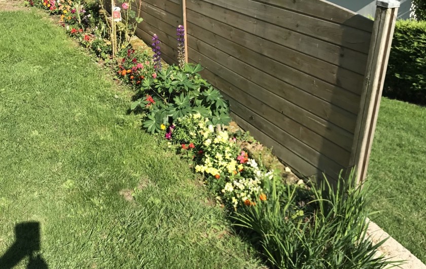 Location de vacances - Gîte à Beussent - JARDIN FLEURI