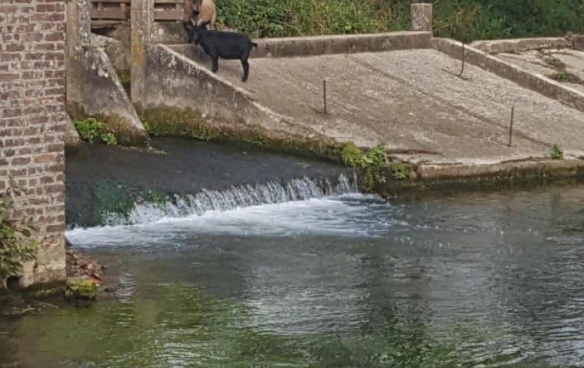 Location de vacances - Gîte à Beussent - LE MOULIN DE BEUSSENT