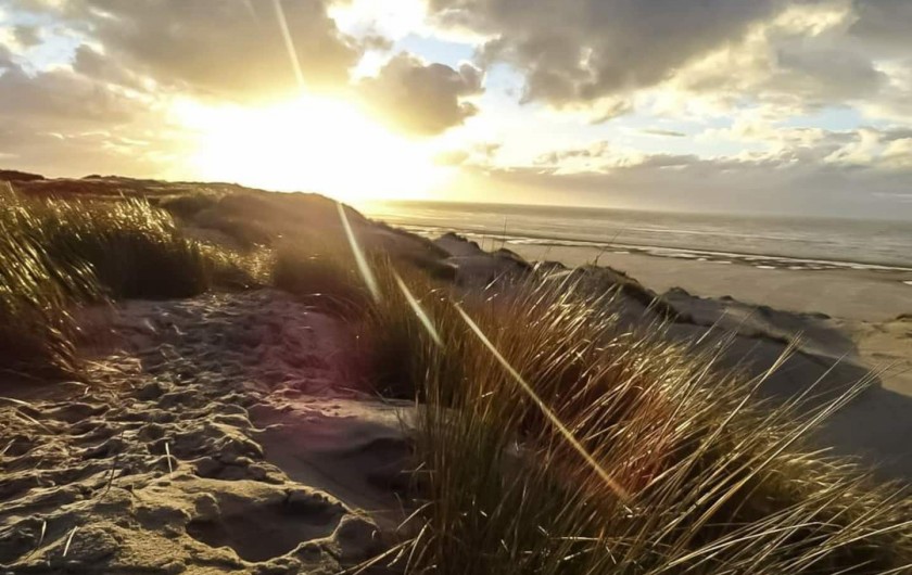 Location de vacances - Gîte à Beussent - PLAGE