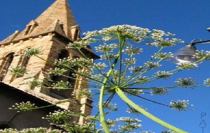 Location de vacances - Chambre d'hôtes à La Grave