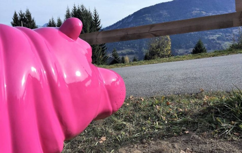 Location de vacances - Chalet à Les Avanchers-Valmorel - Un hippotame rose à 1500 mètres... c'est possible !