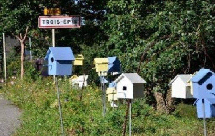 Location de vacances - Chalet à Les Trois Epis