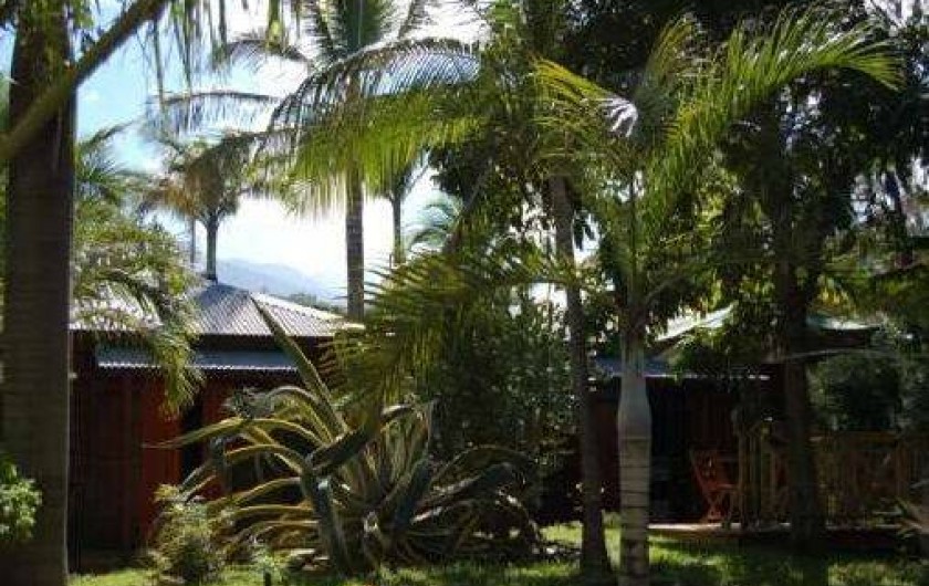 Location de vacances - Bungalow - Mobilhome à L'Étang-Salé