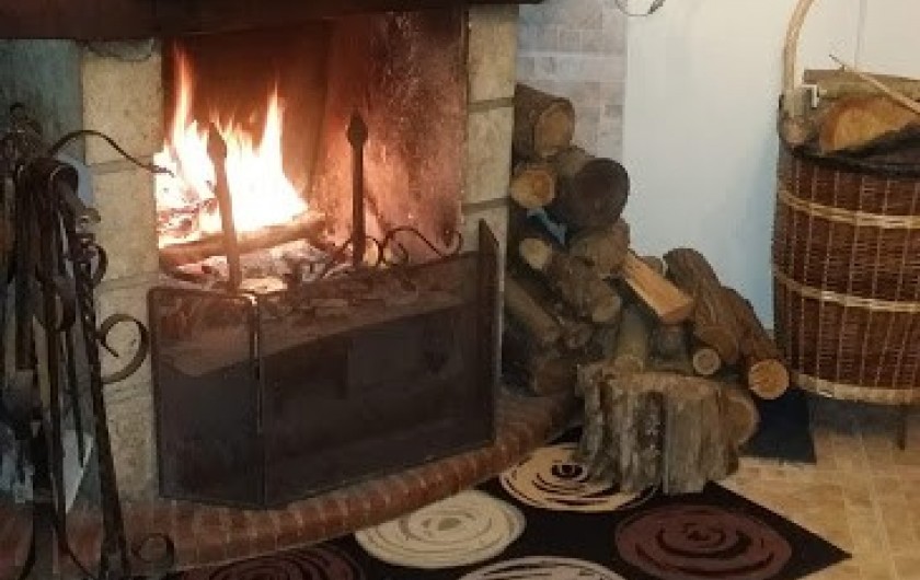 Location de vacances - Maison - Villa à Rives-du-Loir-en-Anjou - ET POUR LES SOIREES FRAICHES "UNE PETITE FLAMBEE"