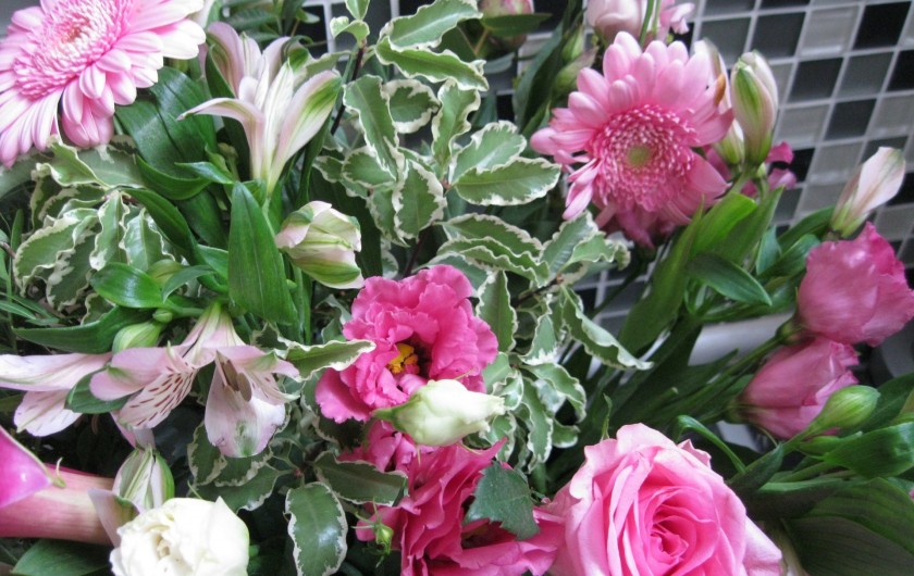 Location de vacances - Maison - Villa à Rives-du-Loir-en-Anjou - bouquet de mes fleurs