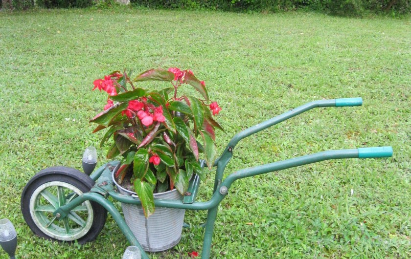 Location de vacances - Maison - Villa à Rives-du-Loir-en-Anjou - UNE DECO FLEURIE