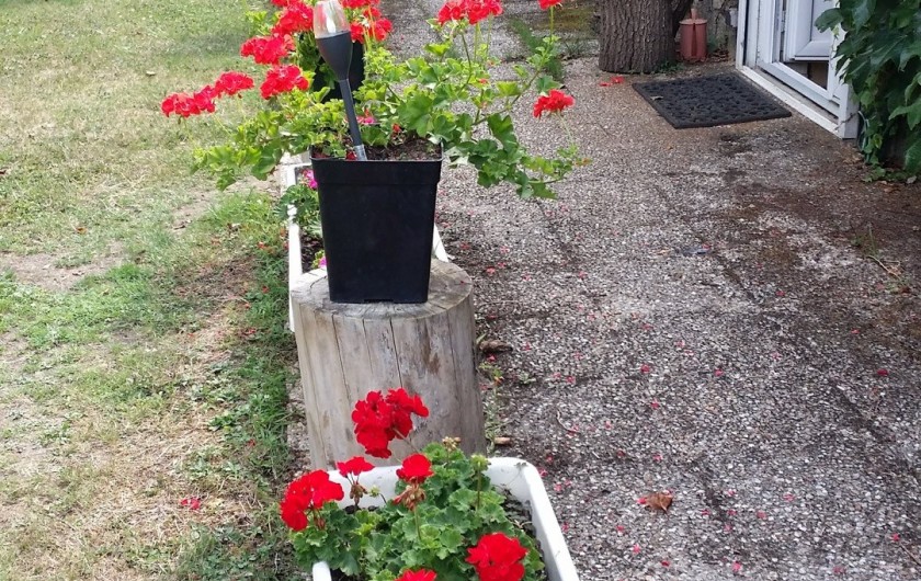 Location de vacances - Maison - Villa à Rives-du-Loir-en-Anjou - GERANIUMS