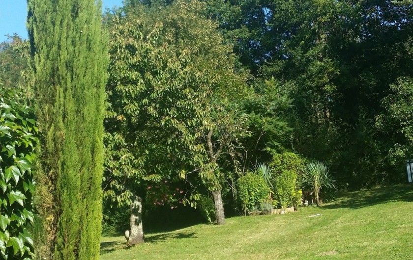 Location de vacances - Maison - Villa à Rives-du-Loir-en-Anjou - MON BOIS