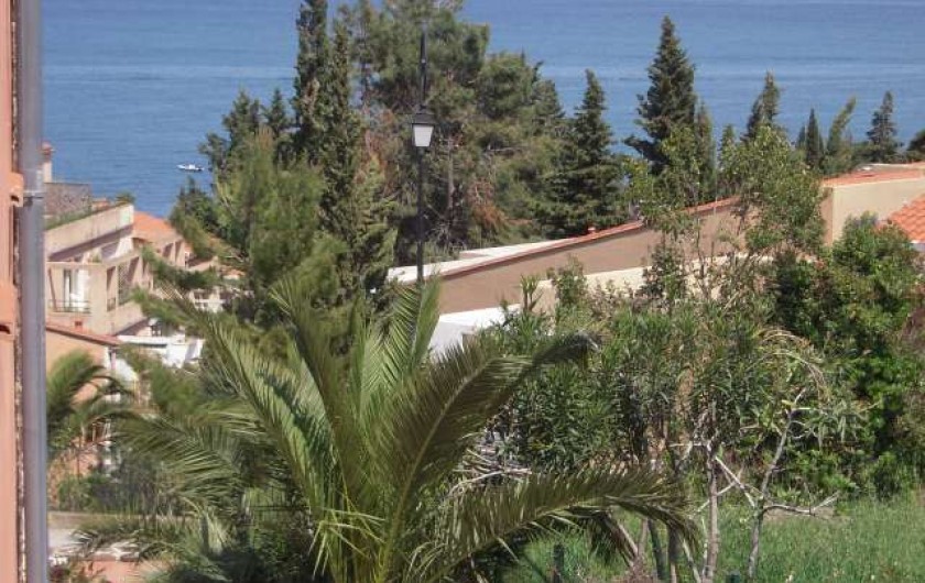 Location de vacances - Appartement à Collioure