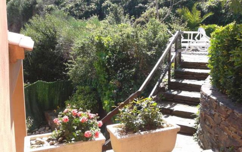Location de vacances - Appartement à Collioure