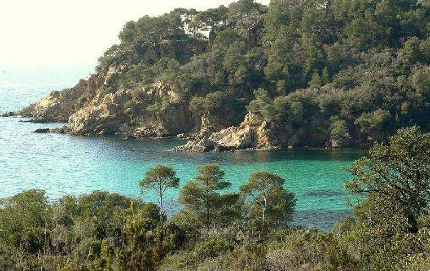 Location de vacances - Appartement à Le Lavandou