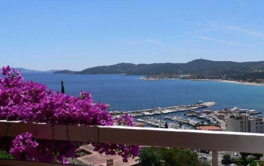 Location de vacances - Appartement à Le Lavandou