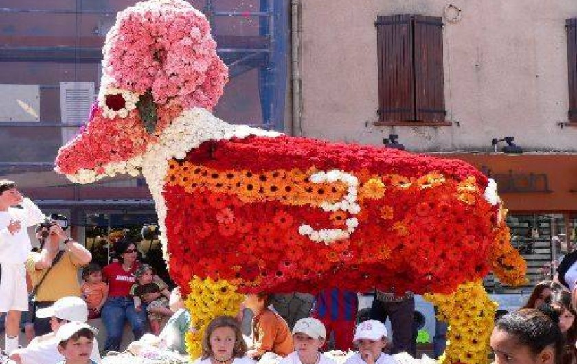 Location de vacances - Appartement à Le Lavandou