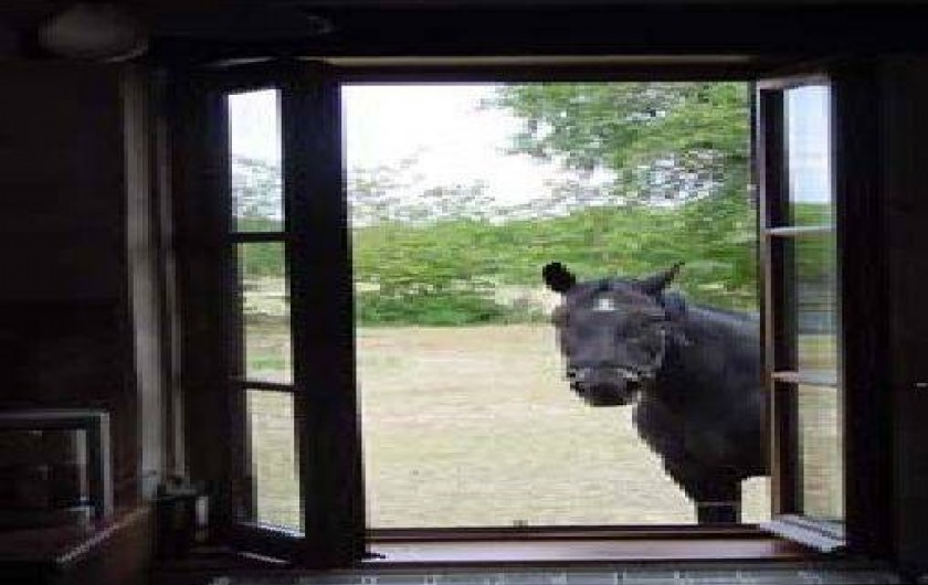 Location de vacances - Gîte à Clère-du-Bois