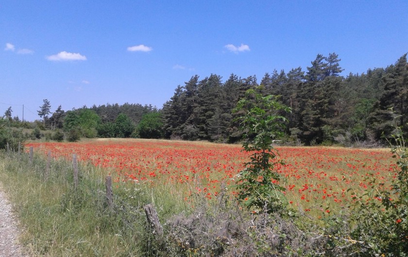 Location de vacances - Gîte à Saint-Georges-de-Lévéjac