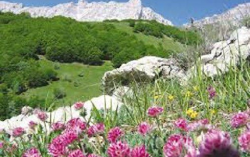 Location de vacances - Appartement à Superdévoluy