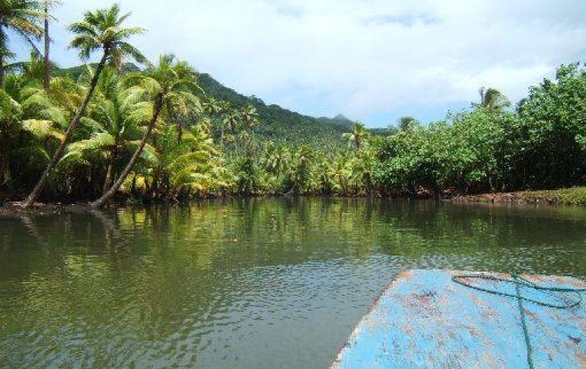 Location de vacances - Bungalow - Mobilhome à Uturoa - RIVIERE D'OPOA