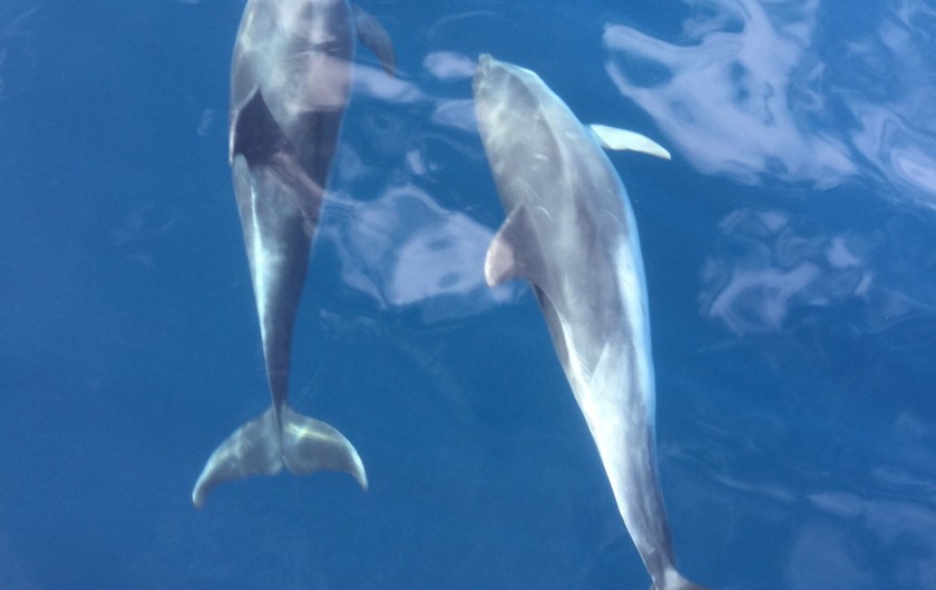 Location de vacances - Appartement à Valle Gran Rey