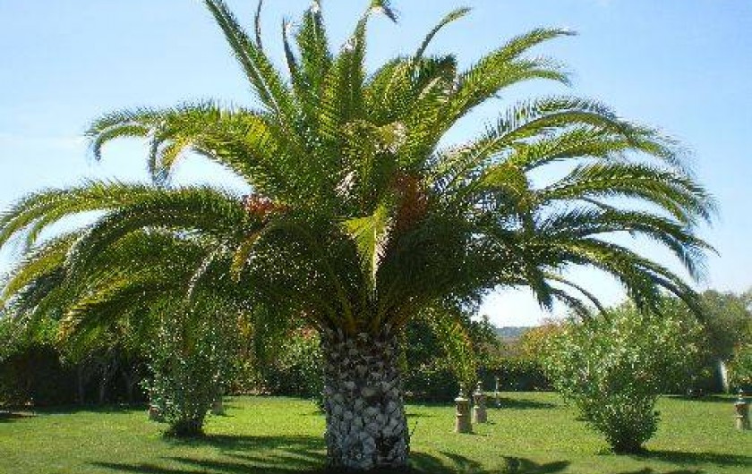 Location de vacances - Villa à Faro