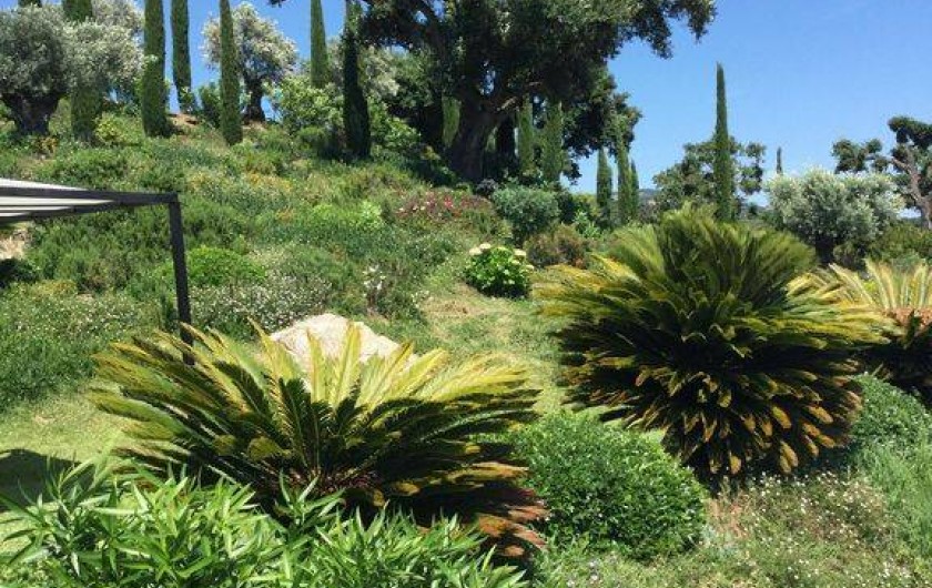 Location de vacances - Villa à Grimaud