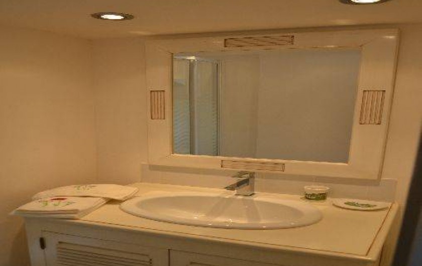 Location de vacances - Appartement à Le Teil - Salle d'eau