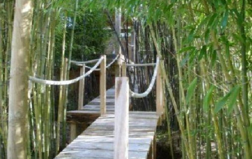 Location de vacances - Gîte à Gujan-Mestras