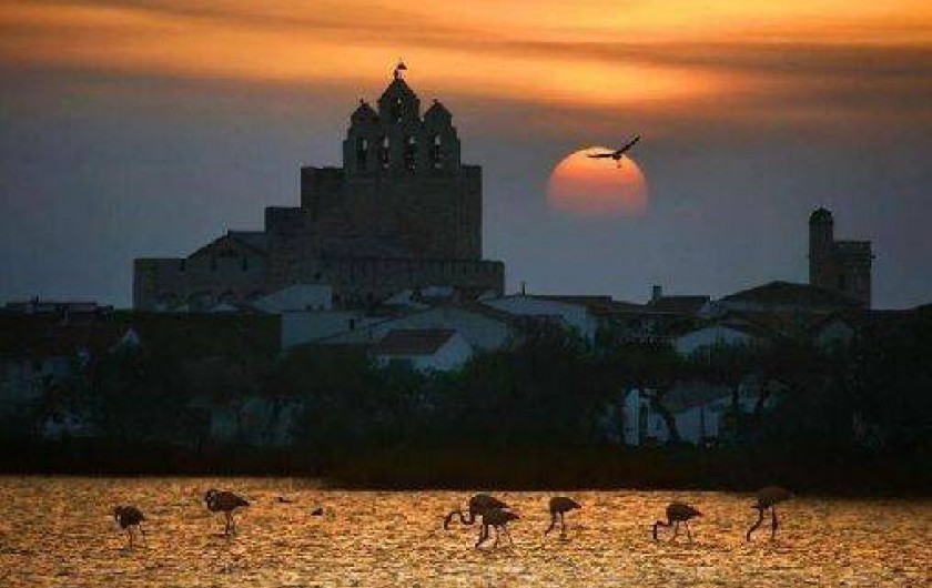 Location de vacances - Appartement à Saintes-Maries-de-la-Mer