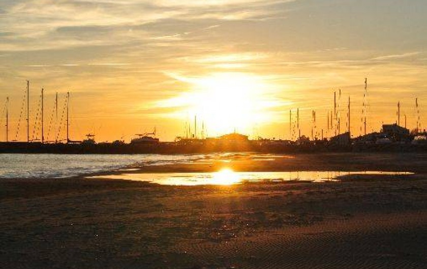 Location de vacances - Appartement à Saintes-Maries-de-la-Mer